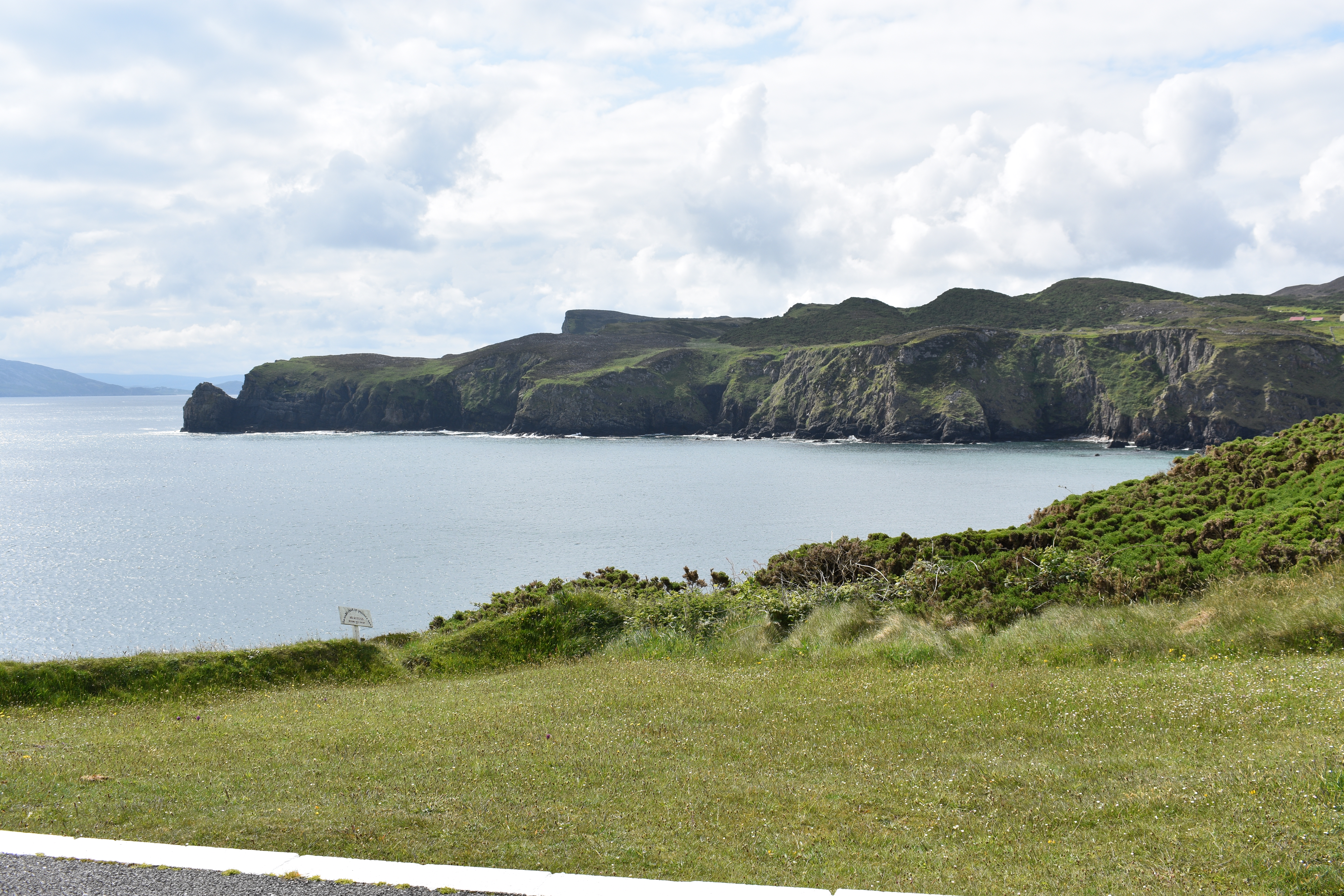 DSC_0309