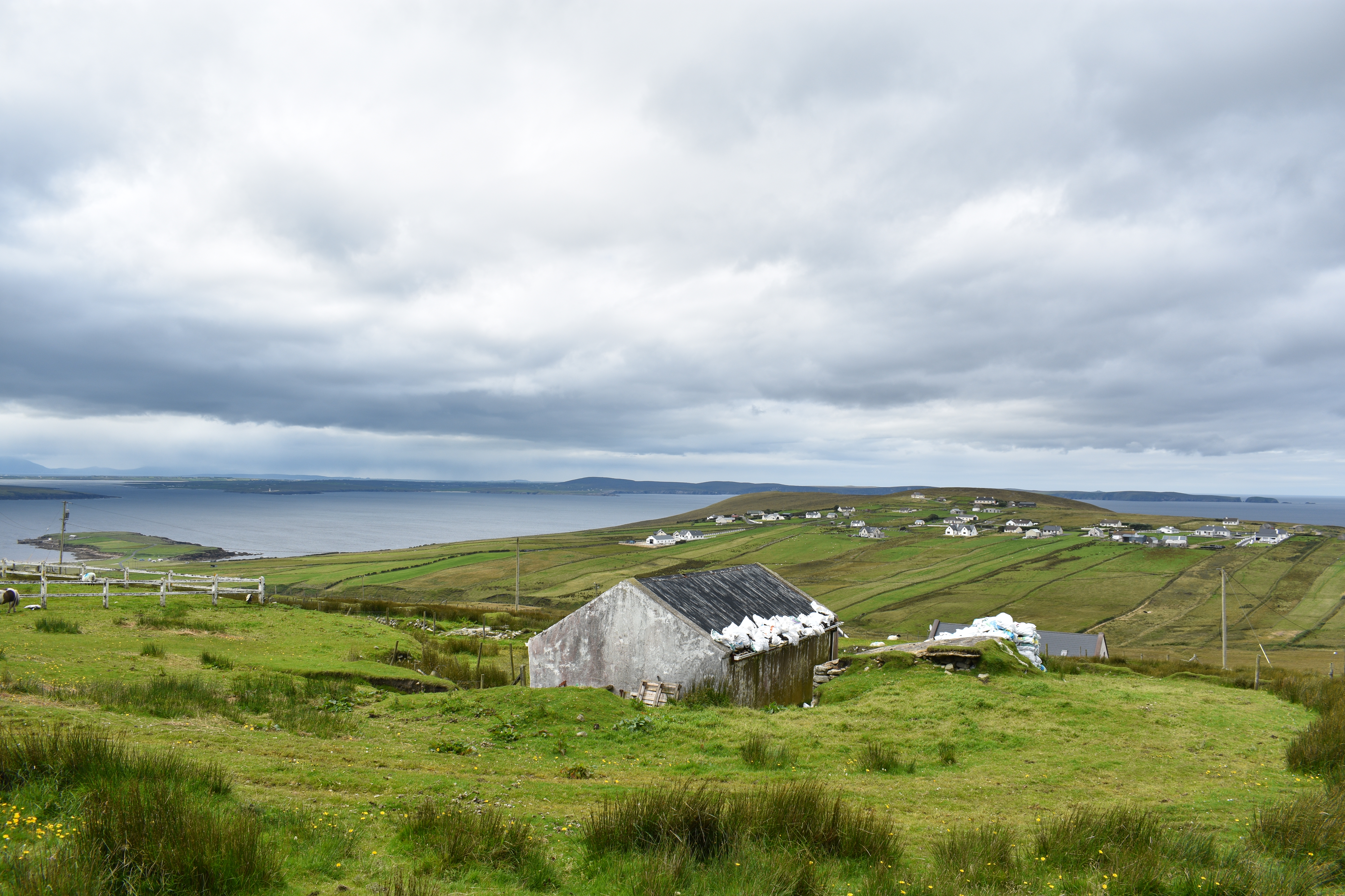 DSC_0702
