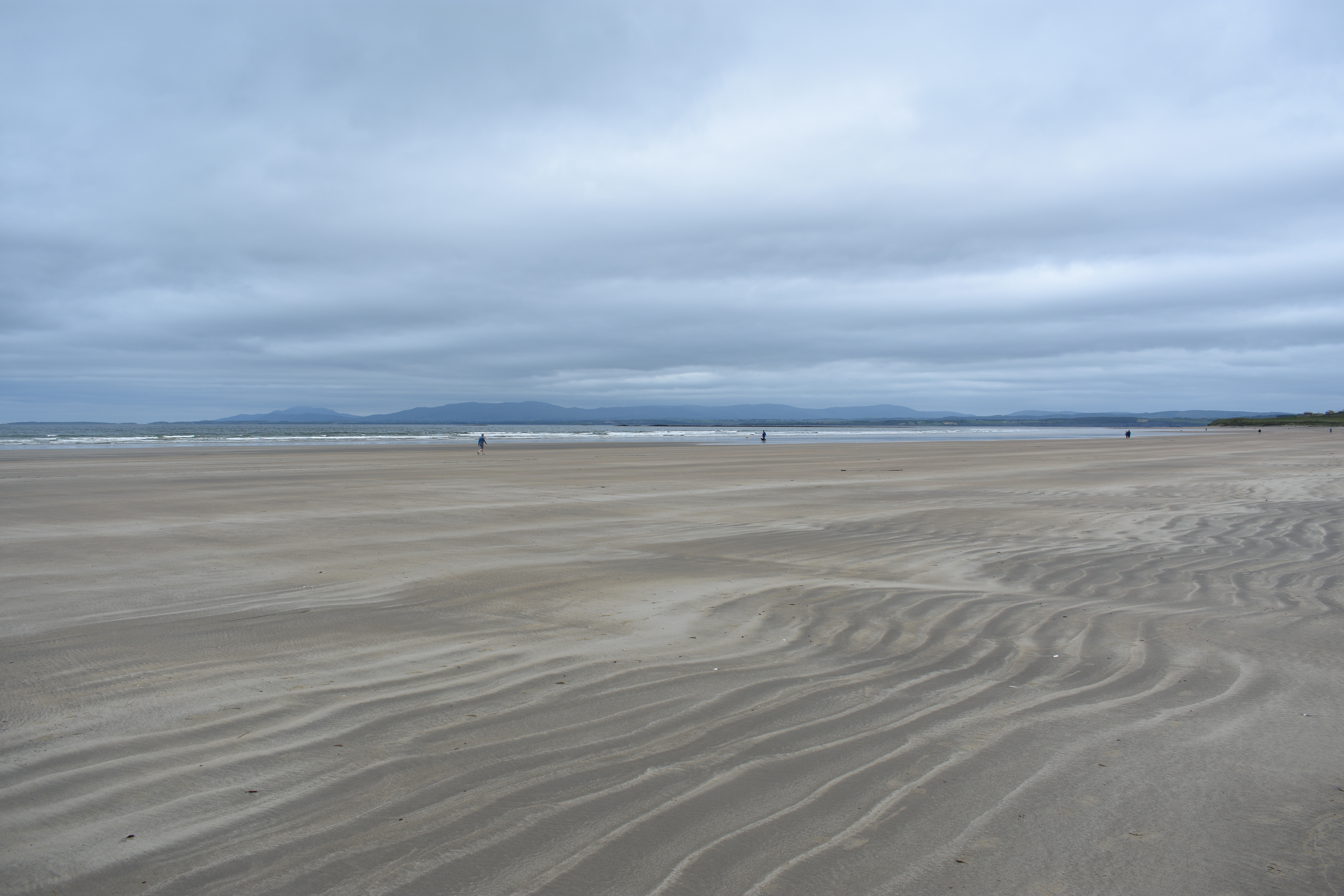 DSC_0919