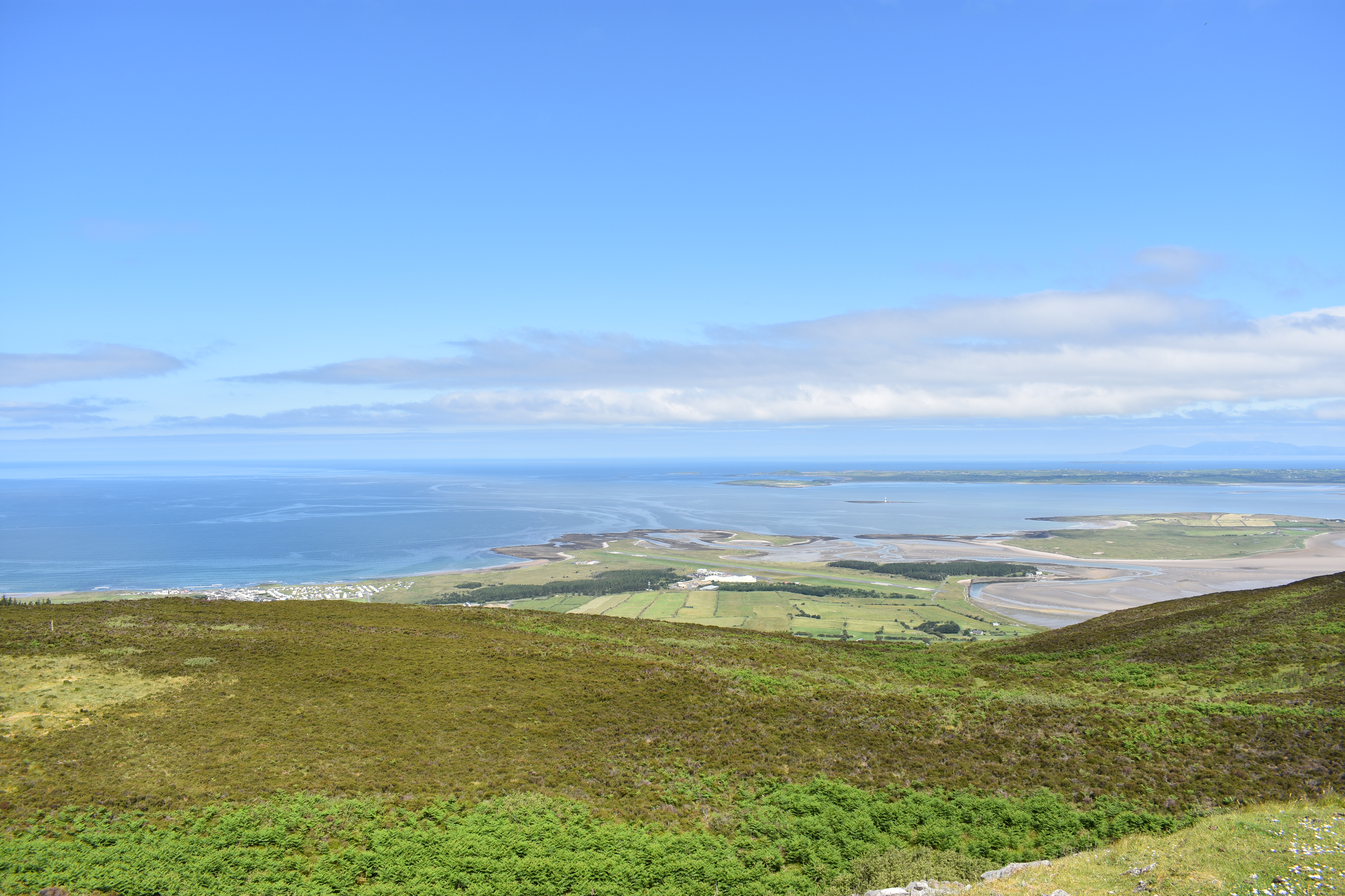 DSC_1197