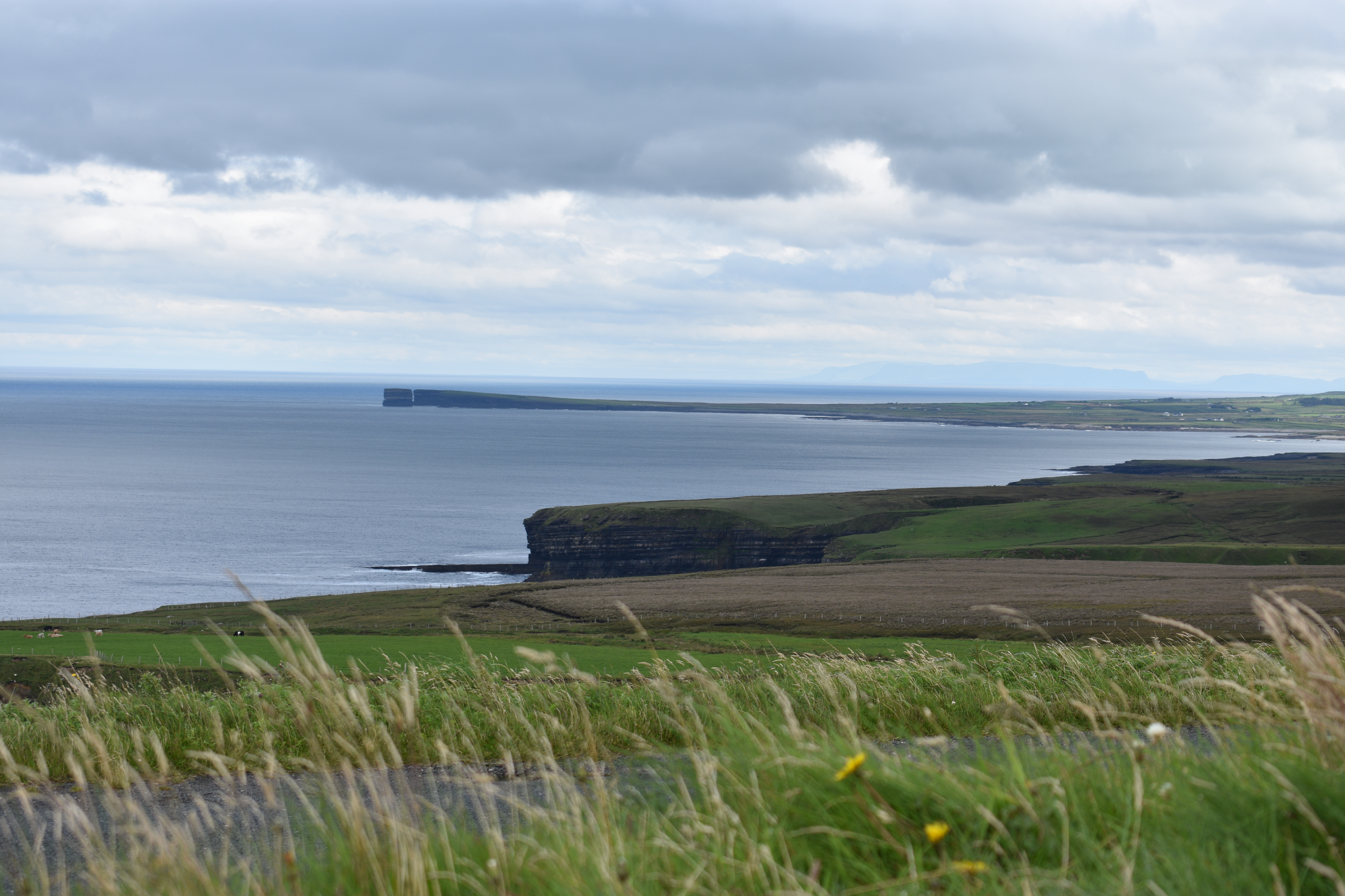 DSC_0704