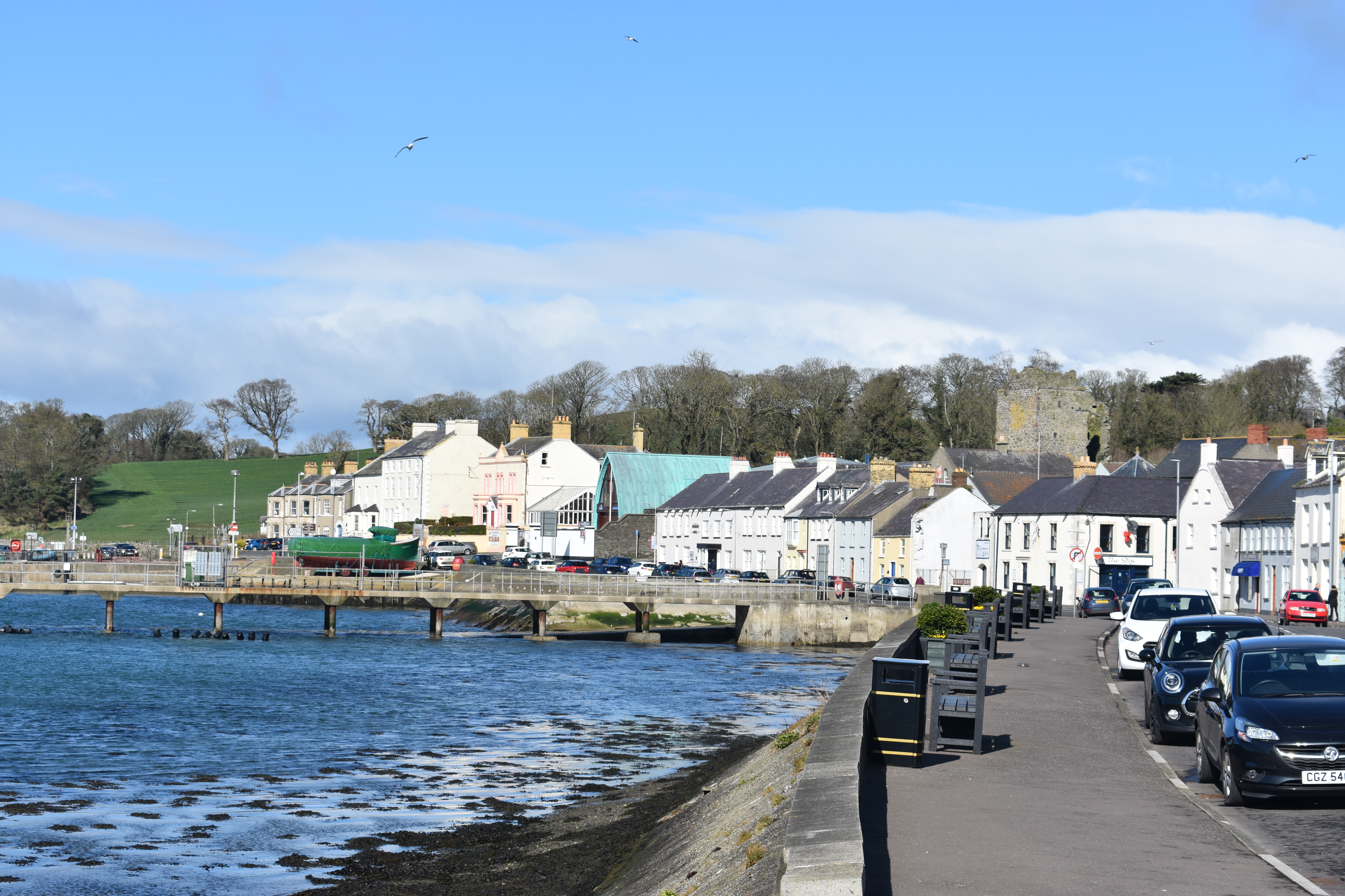 DSC_0084