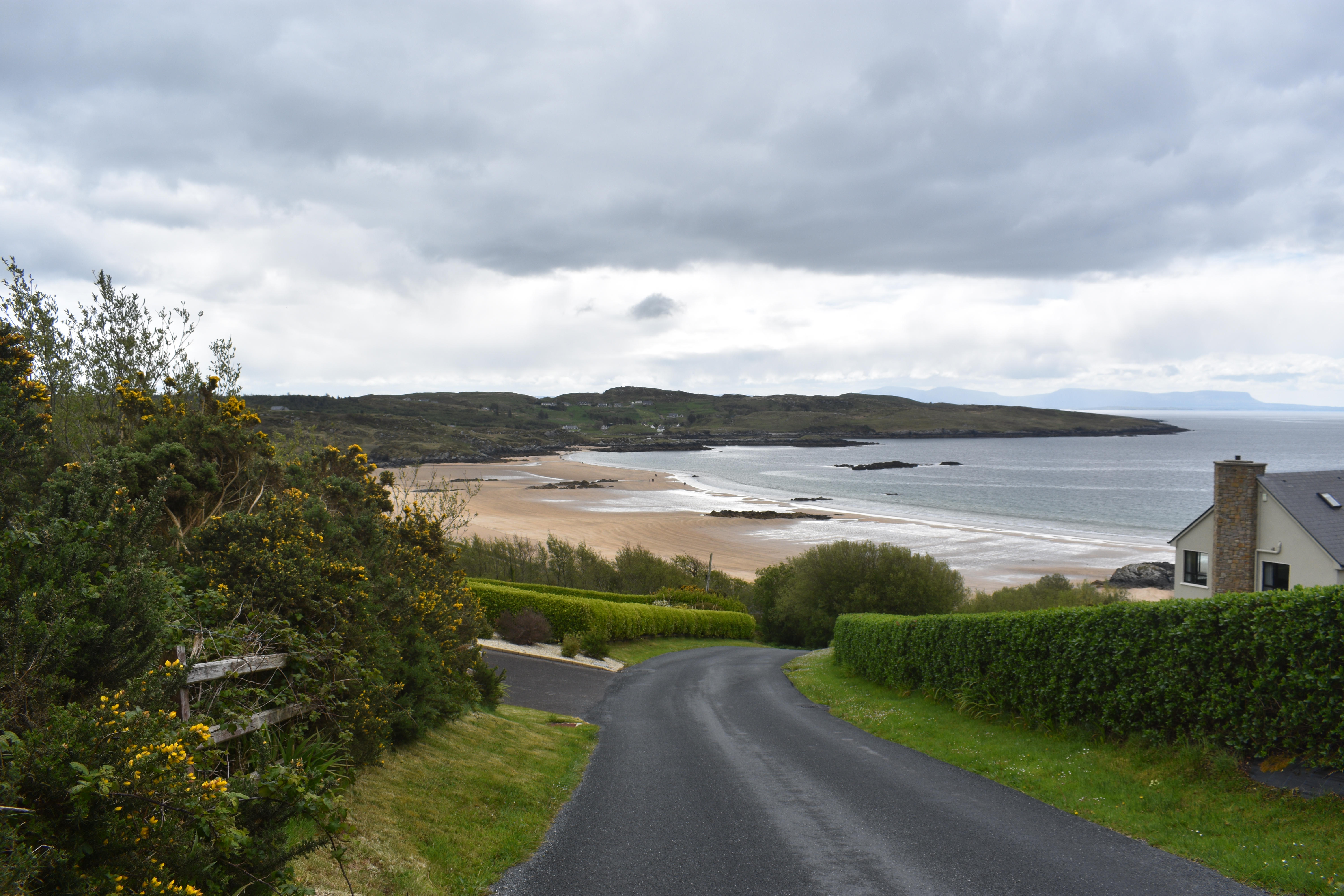 DSC_0427