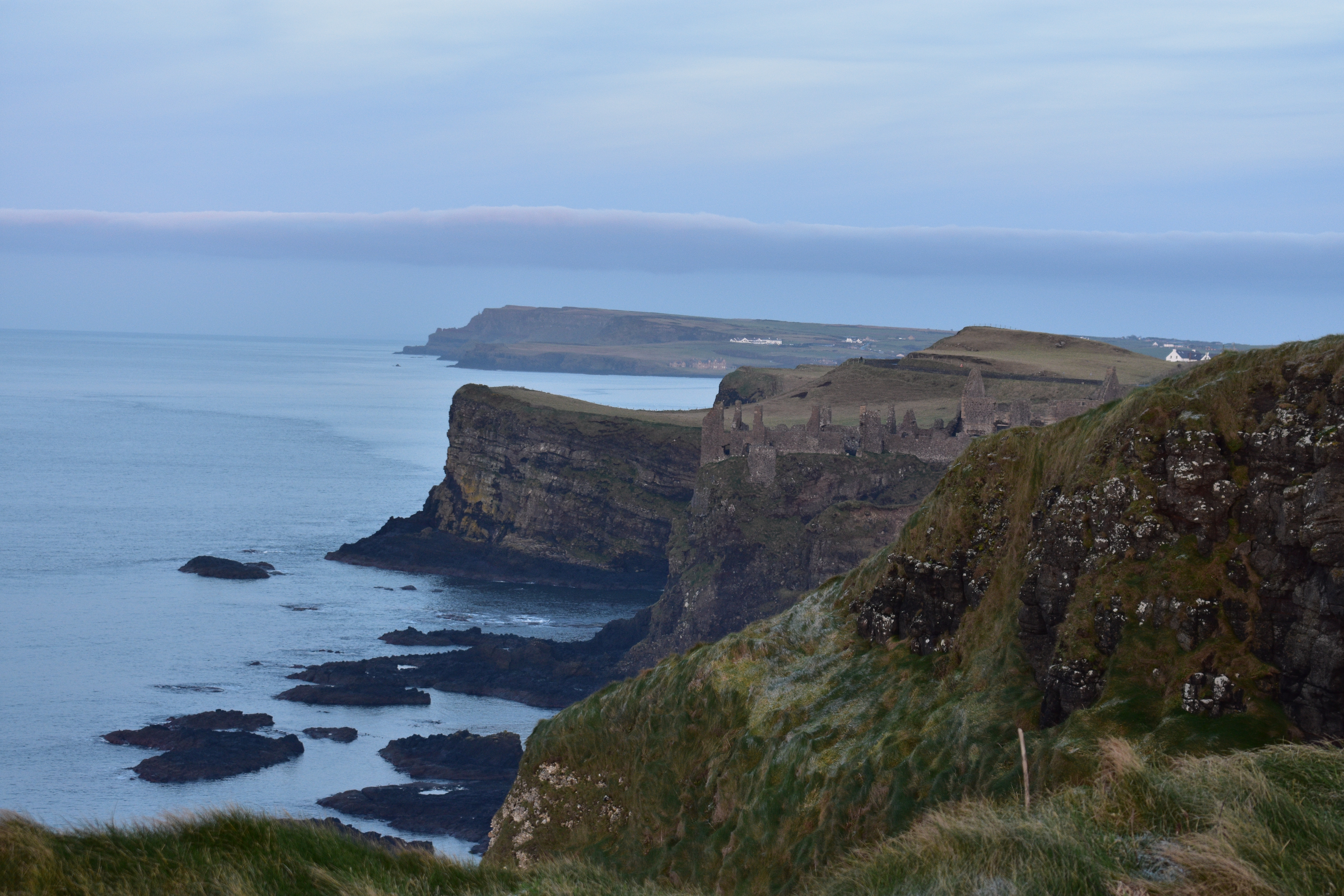 DSC_0343