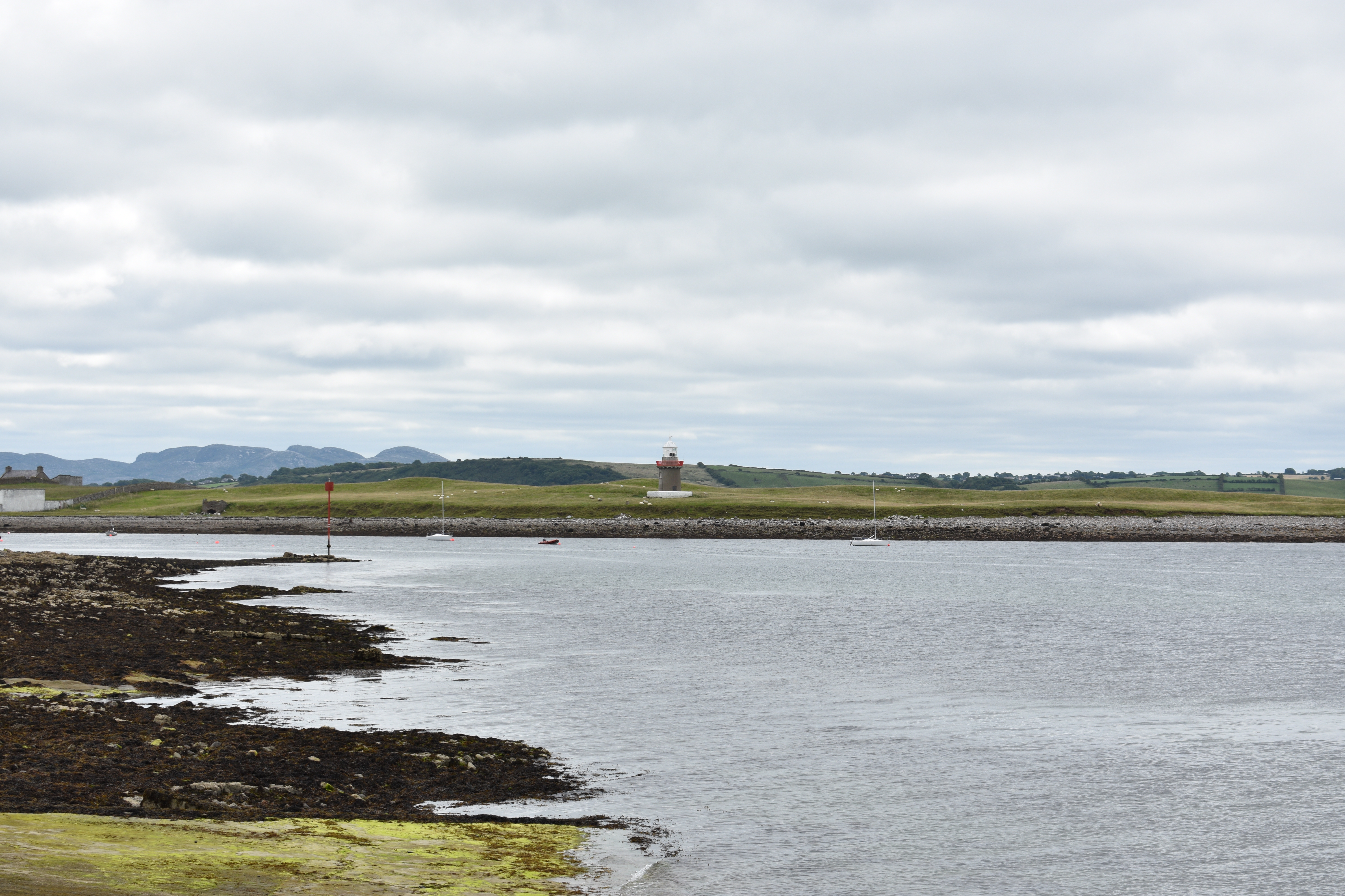 DSC_1020