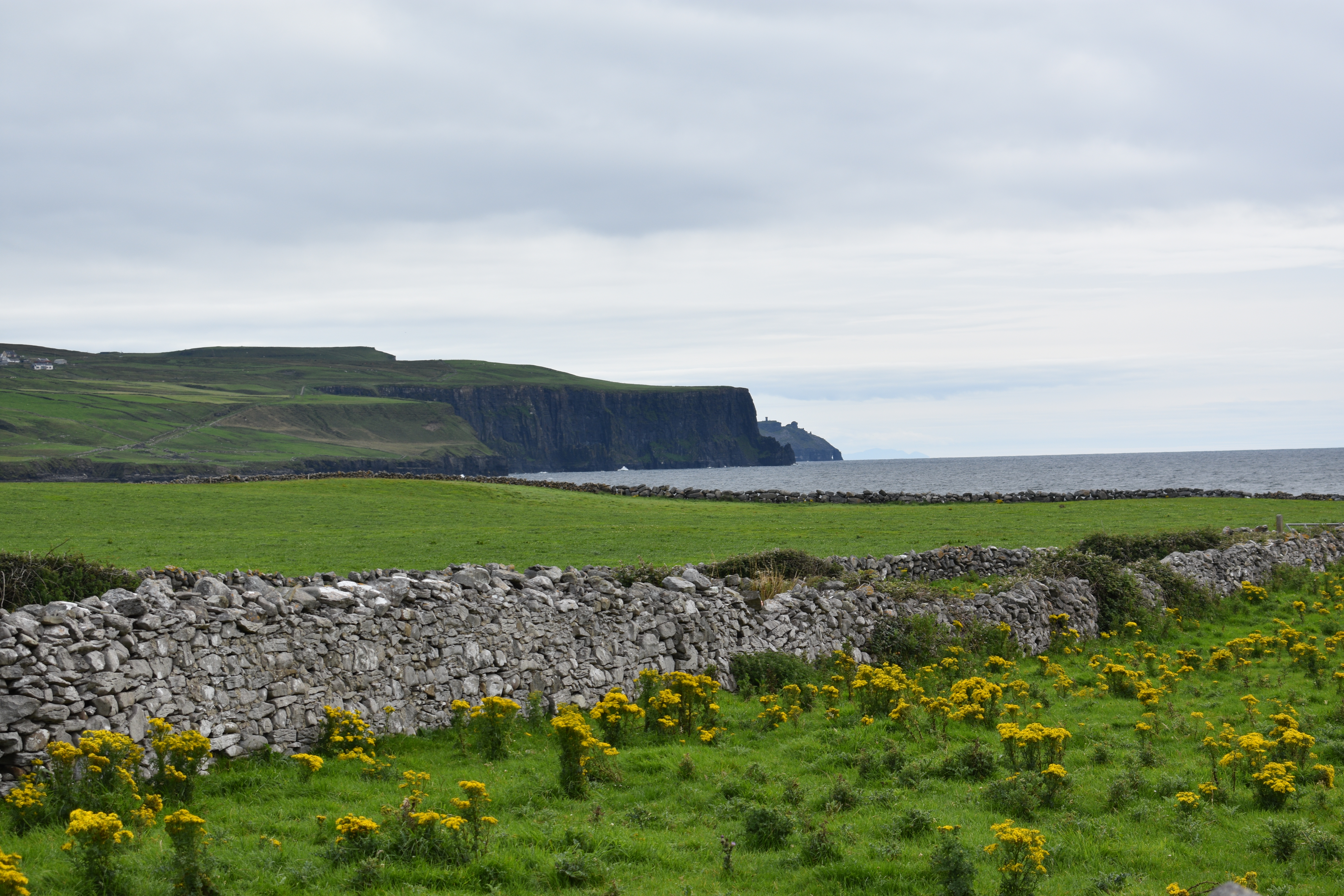 DSC_0536