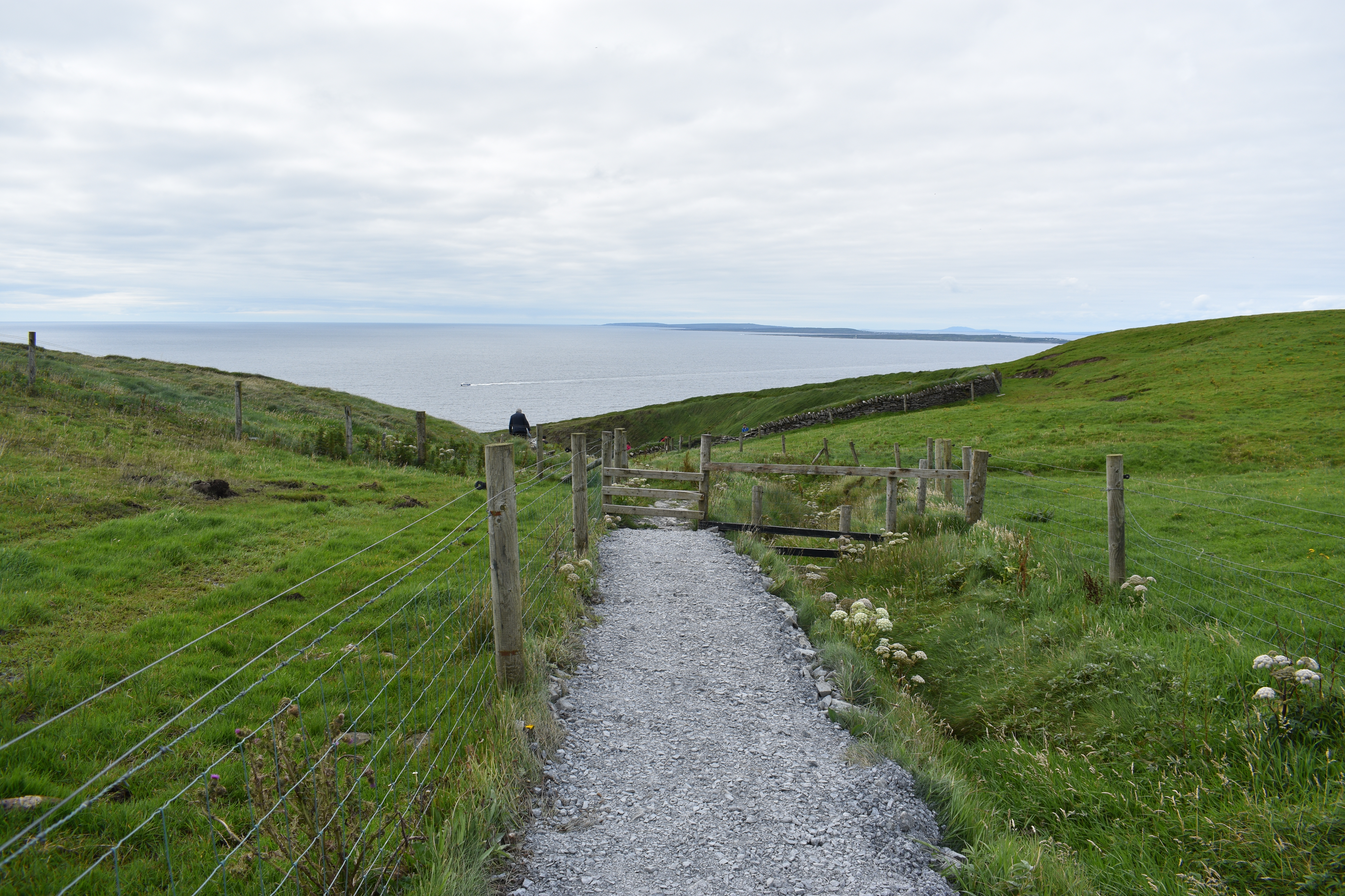 DSC_0476