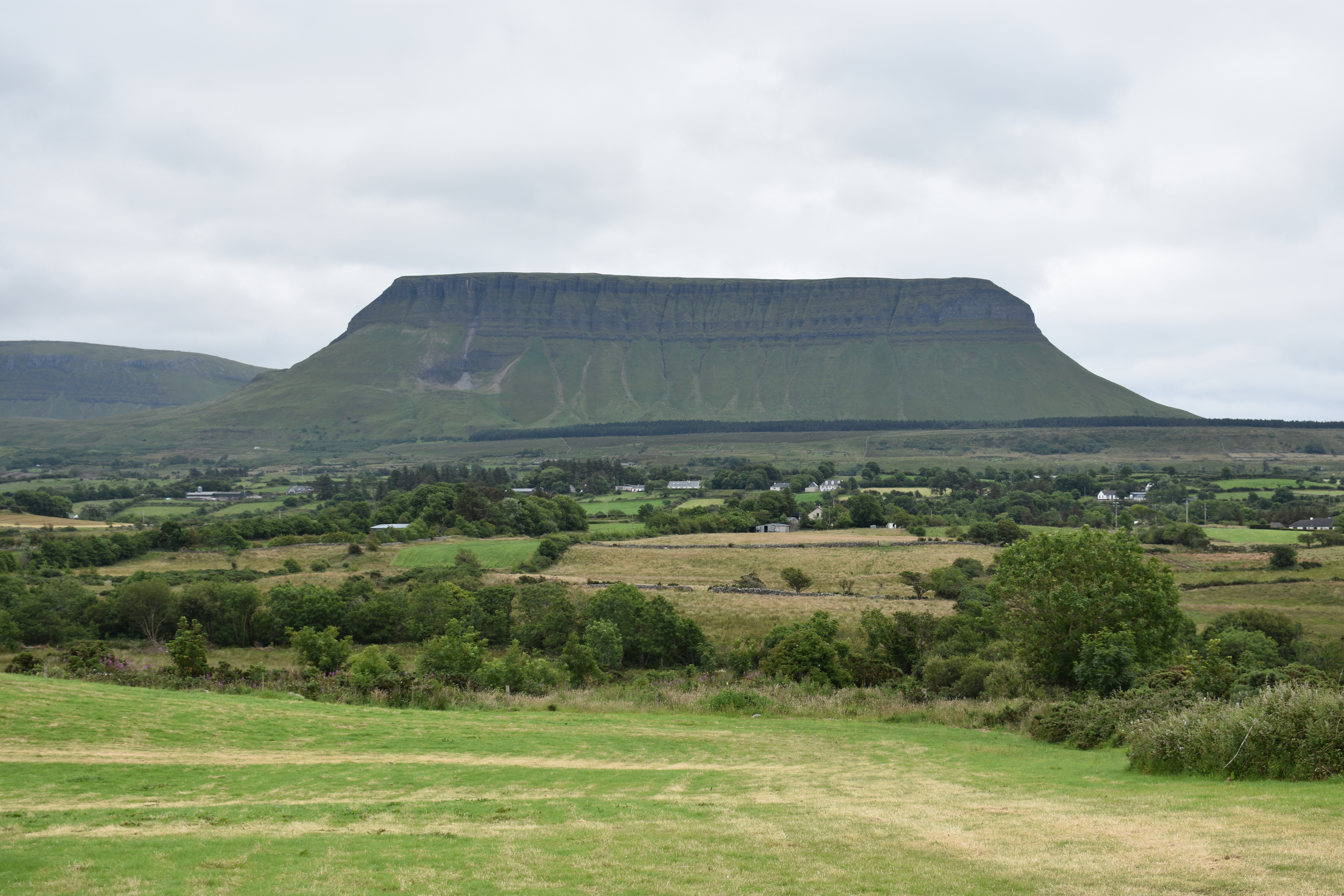 DSC_0982