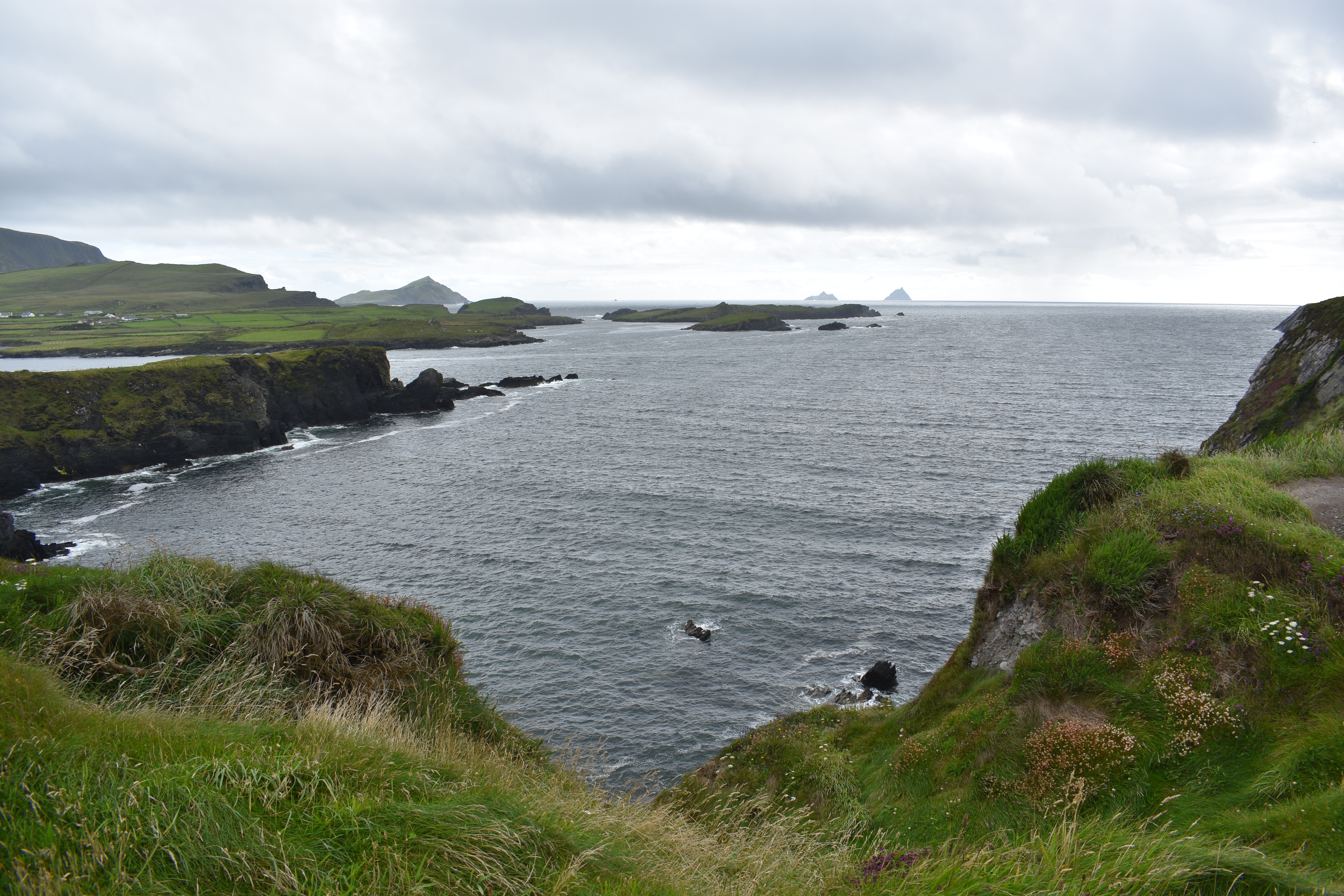 DSC_0056