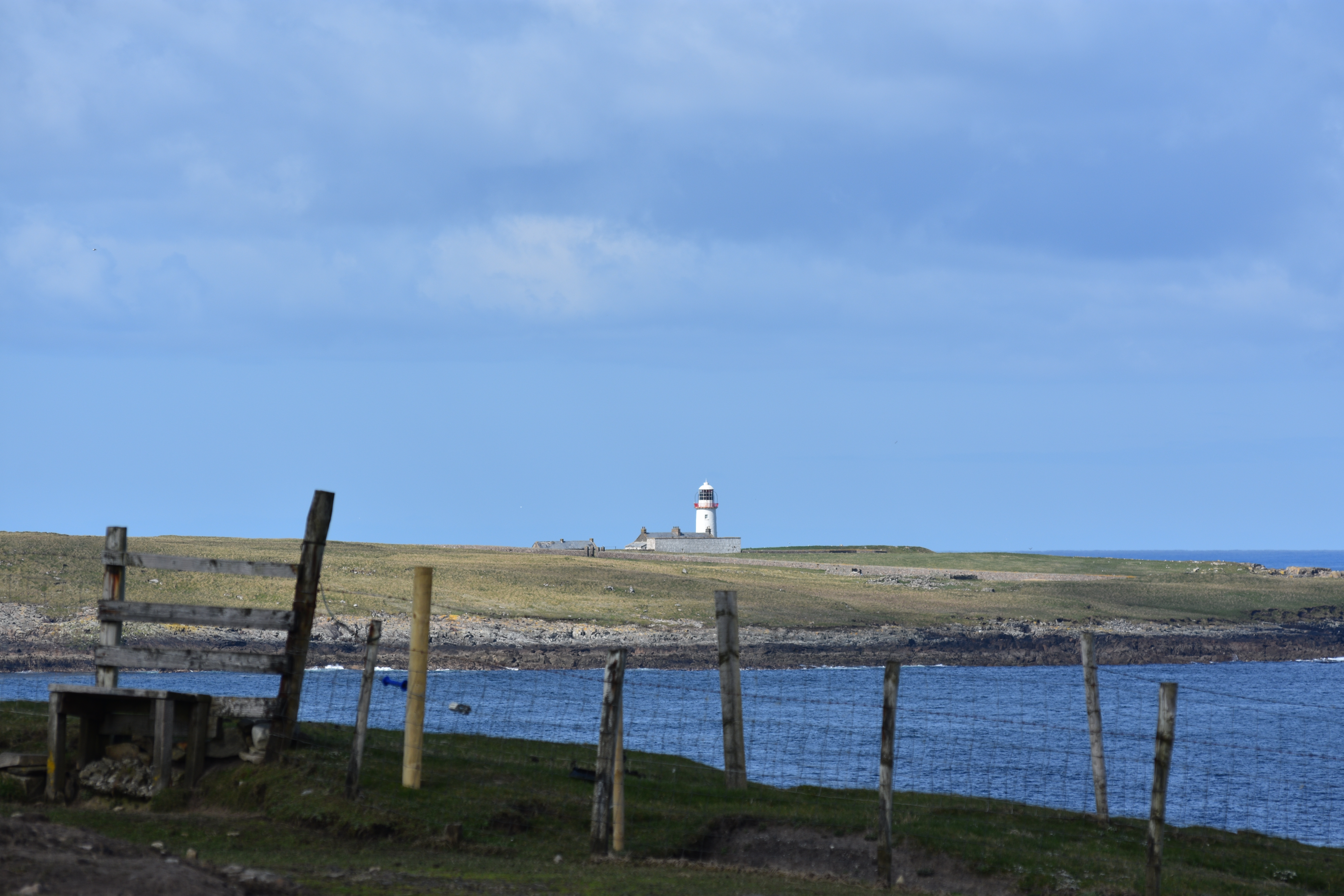 DSC_0391