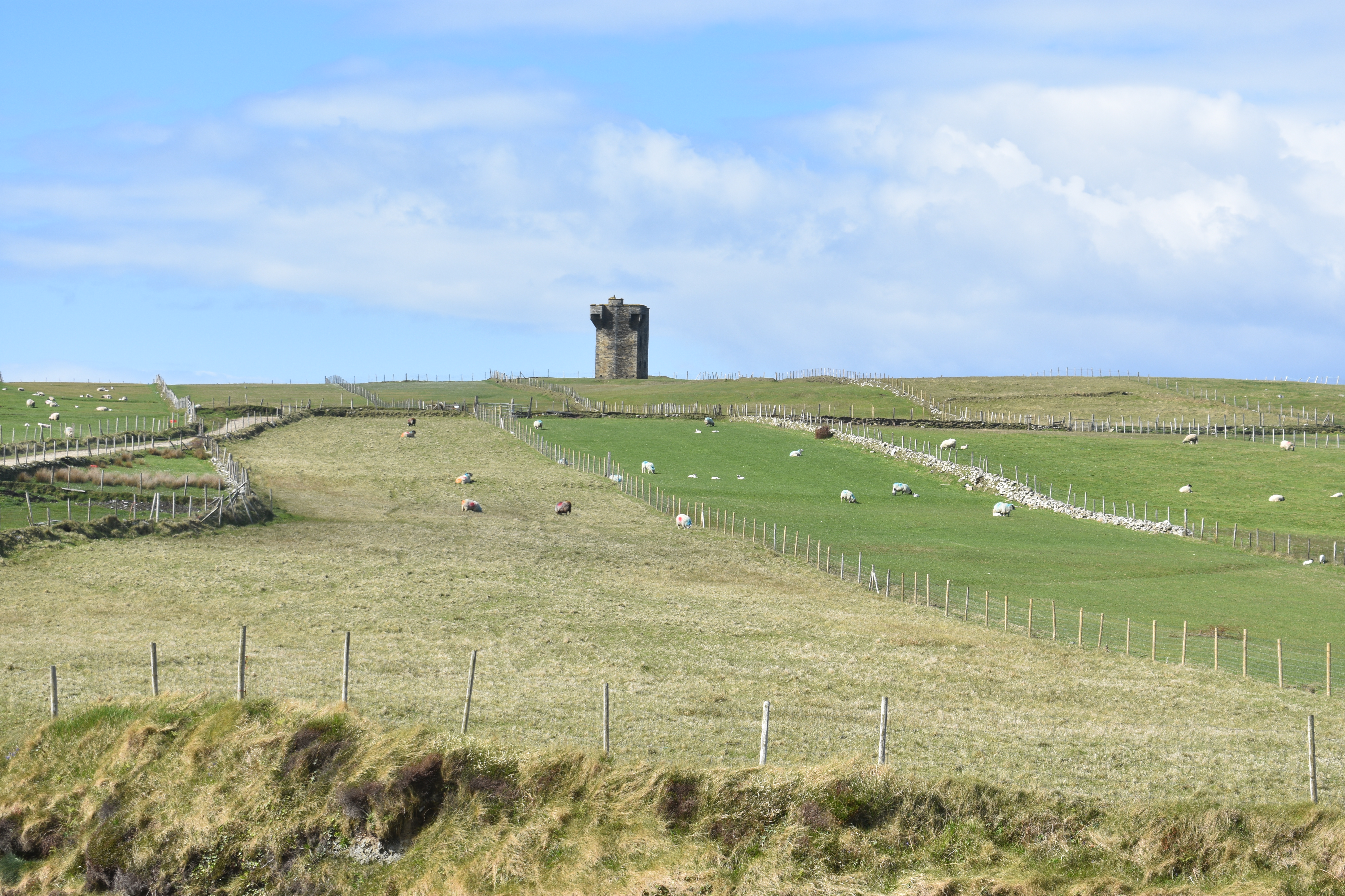 DSC_0402