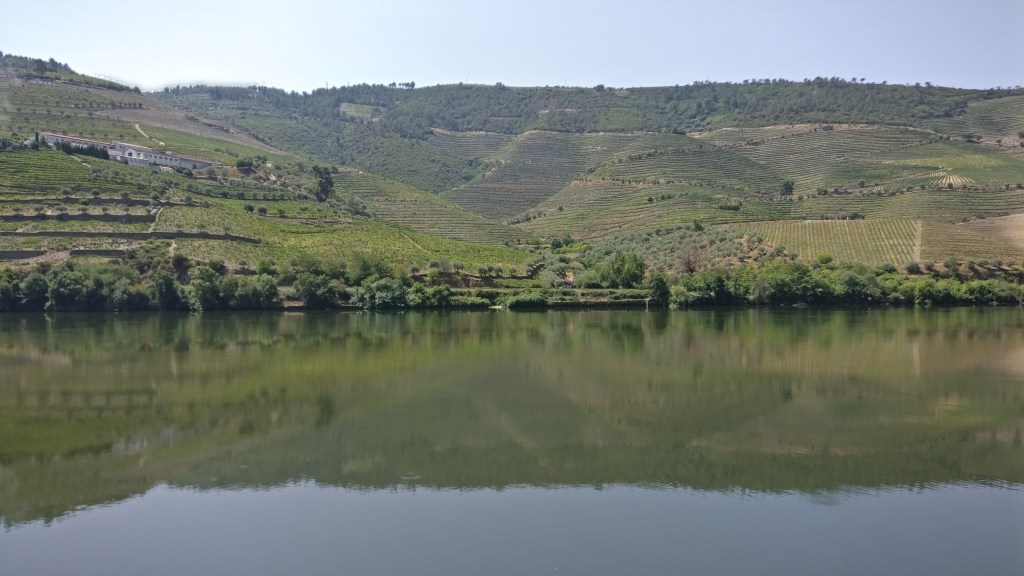 Day trip to Douro. All&nbsp;Aboard!!!